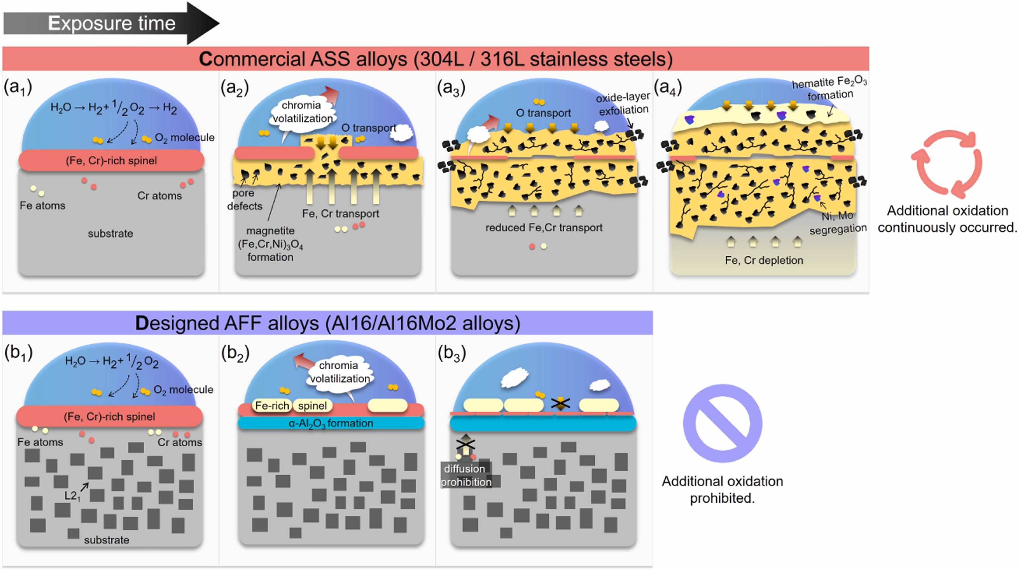 High-temperature oxidation resistance of alumina-forming ferritic alloys in a steam-containing atmosphere